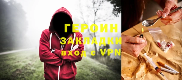 индика Дмитров