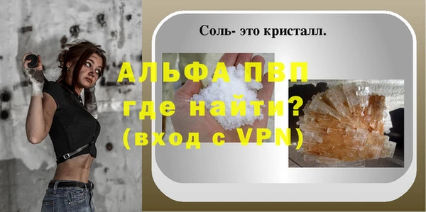 гашик Дмитриев