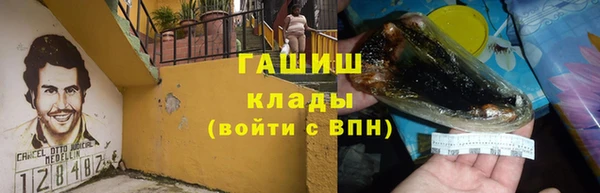 индика Дмитров