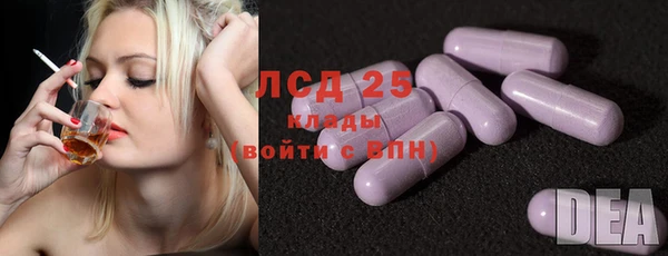 индика Дмитров