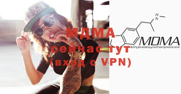 индика Дмитров