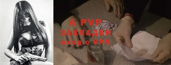 индика Дмитров