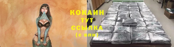 индика Дмитров