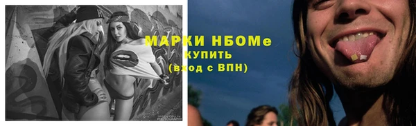 гашик Дмитриев