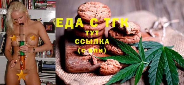 индика Дмитров