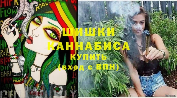 гашик Дмитриев