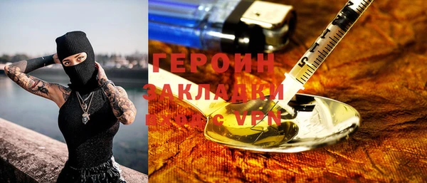 индика Дмитров