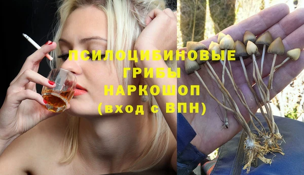 гидра Дмитровск