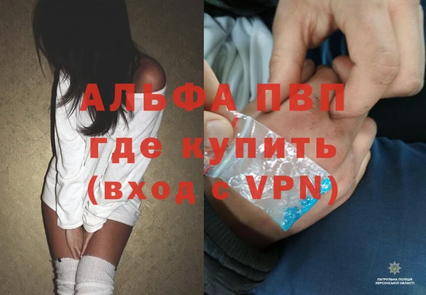 гашик Дмитриев