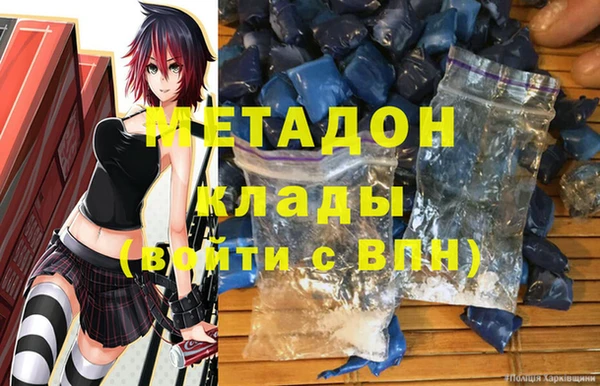 индика Дмитров