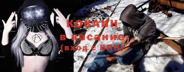 индика Дмитров