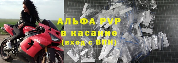 индика Дмитров