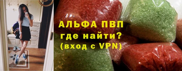 индика Дмитров