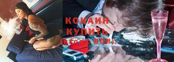 гашик Дмитриев