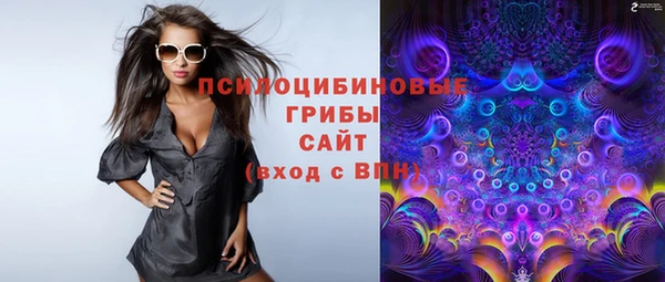 гашик Дмитриев