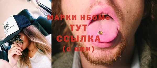 индика Дмитров