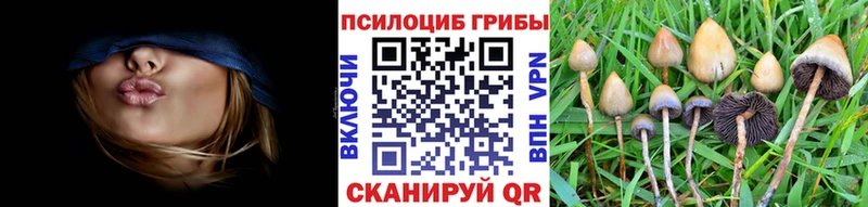 Галлюциногенные грибы Magic Shrooms площадка формула Верещагино